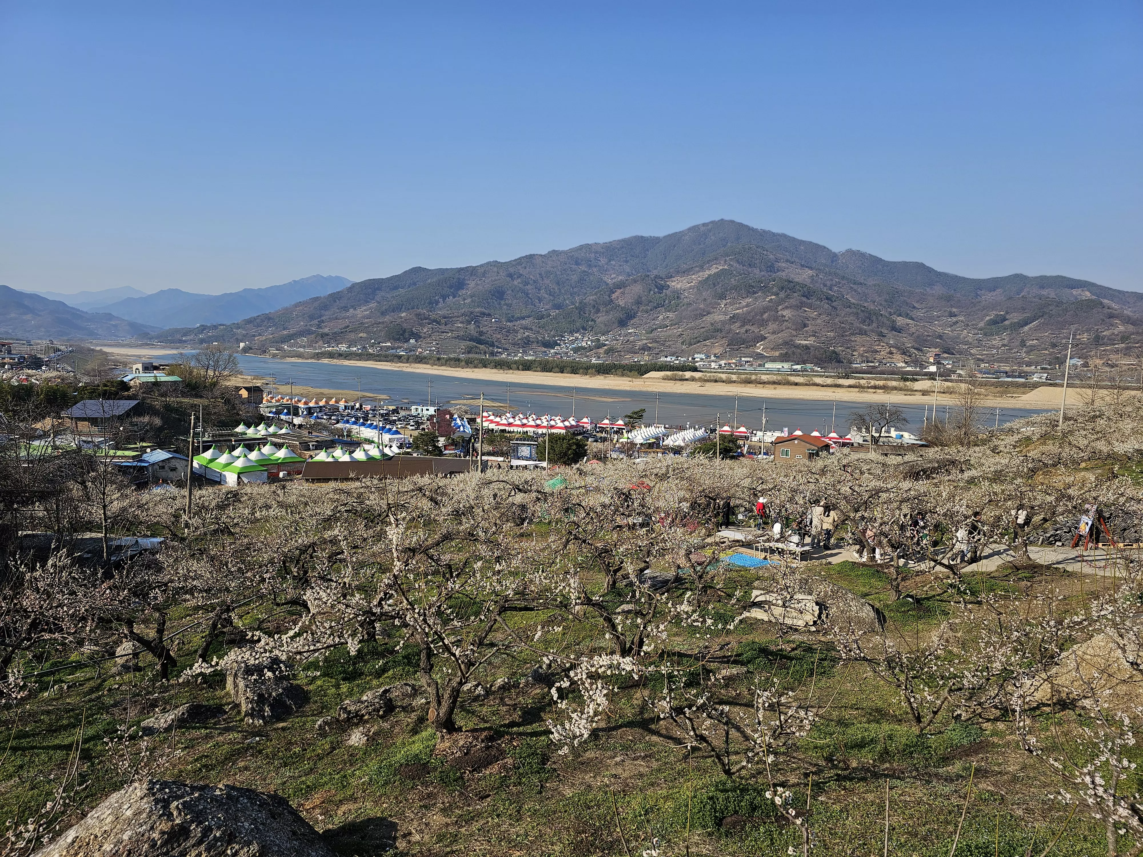 매화마을 풍경