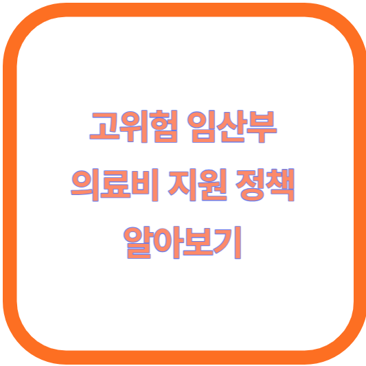 고위험 임산부 의료비 지원 정책 알아보기