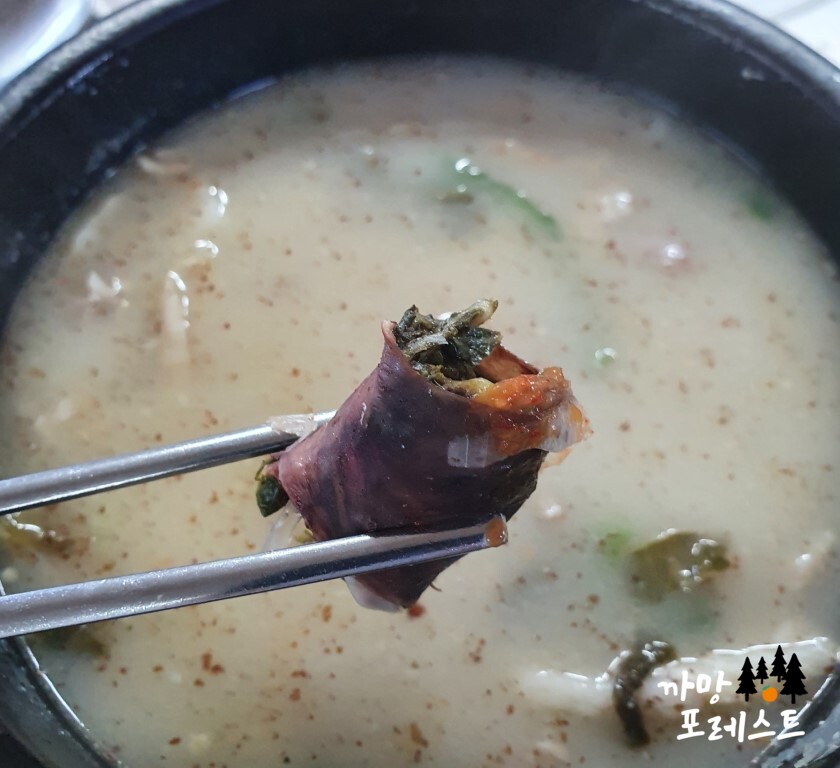 쌈장 찍어 한입