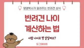 강아지 나이 환산법 가이드 실제 나이 확인 방법_17