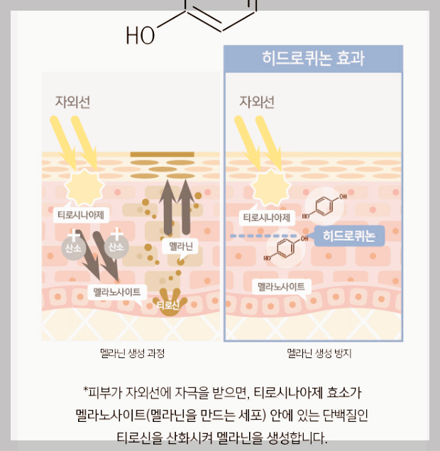 도미나 크림 효능, 가격정보, 후기 및 사용시 주의사항 총정리