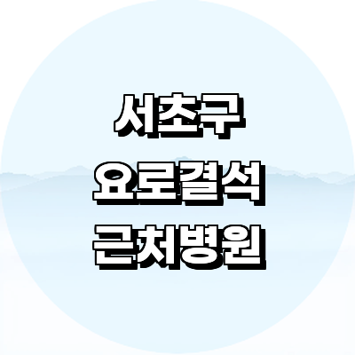 서울 서초구 요로결석 병원