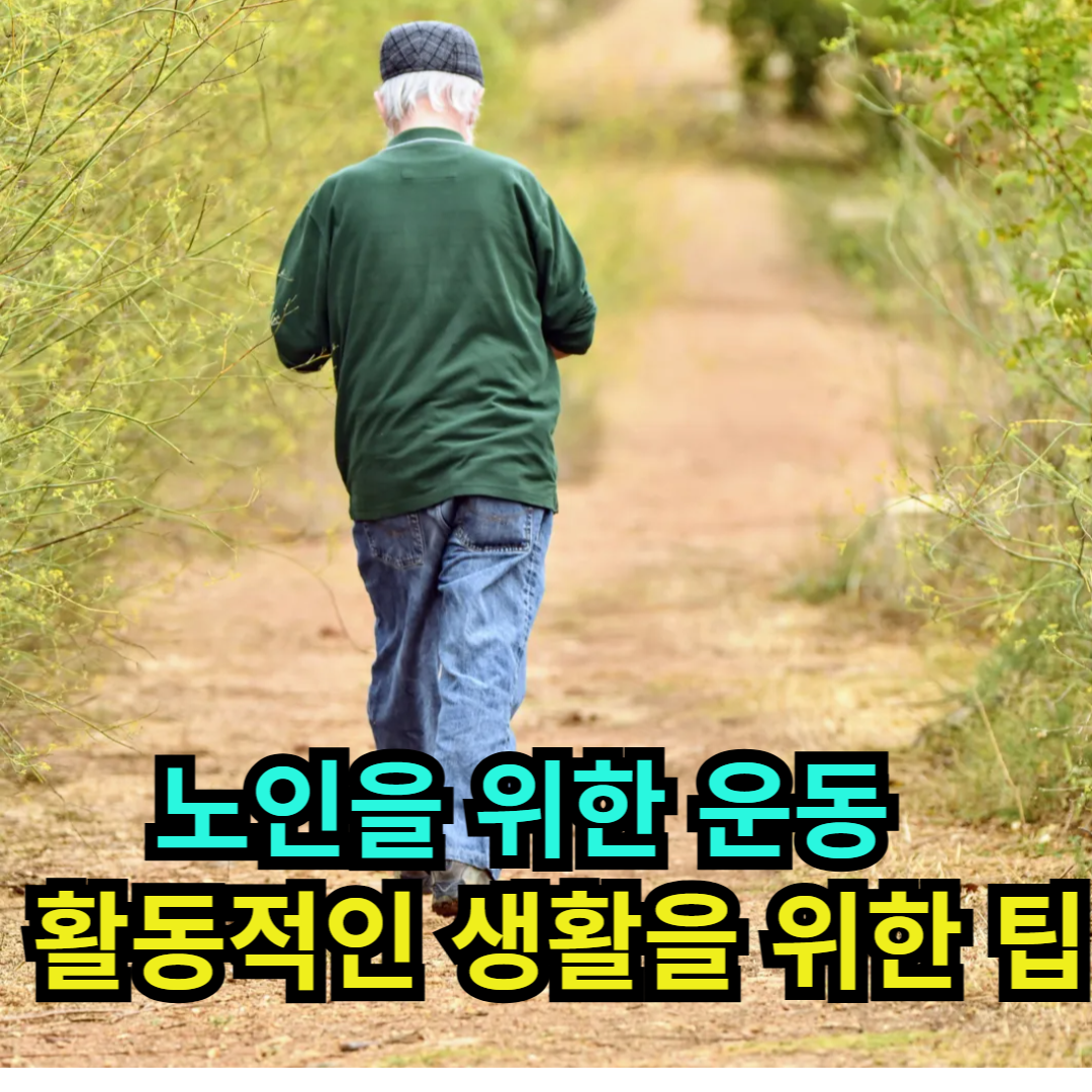 노인을 위한 운동 - 활동적인 생활을 위한 팁