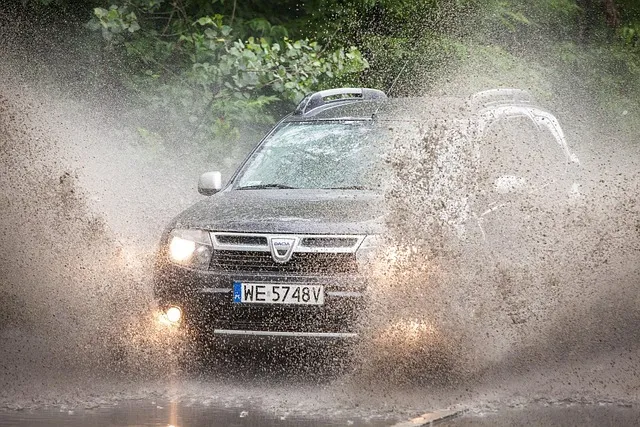 2025년 8월 중형 SUV 판매 순위 전체 순위표로 확인_3