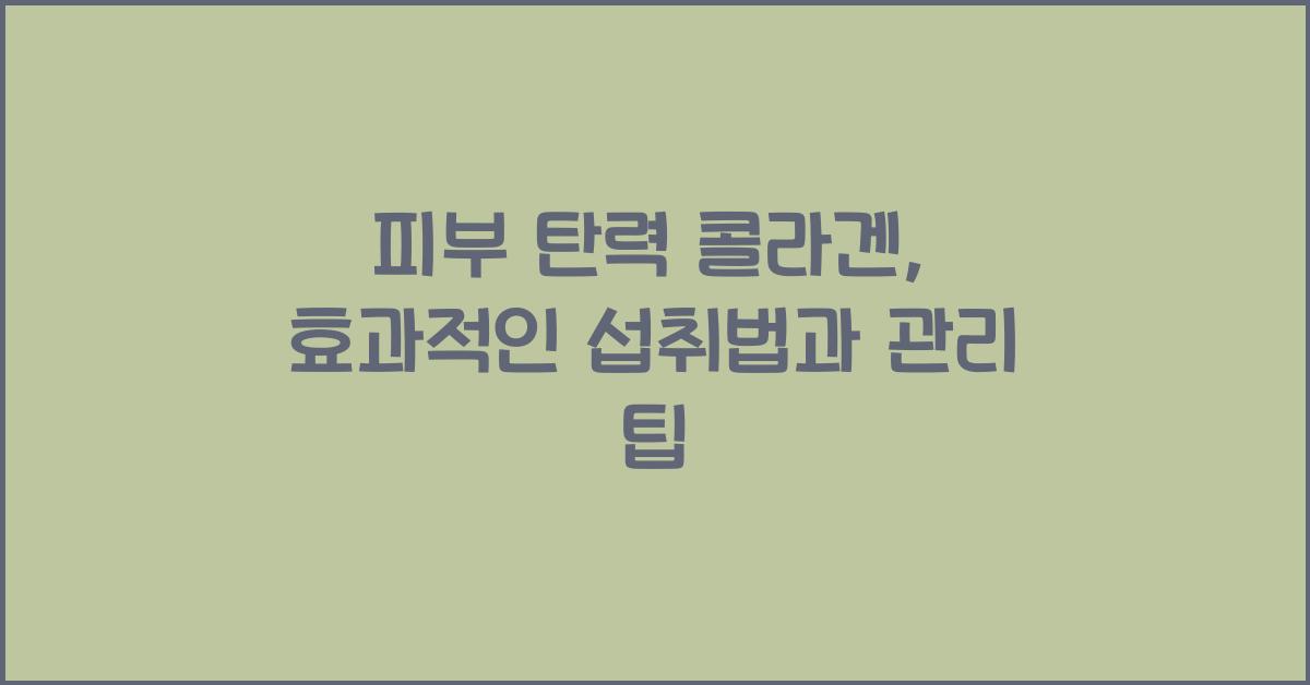 피부 탄력 콜라겐  