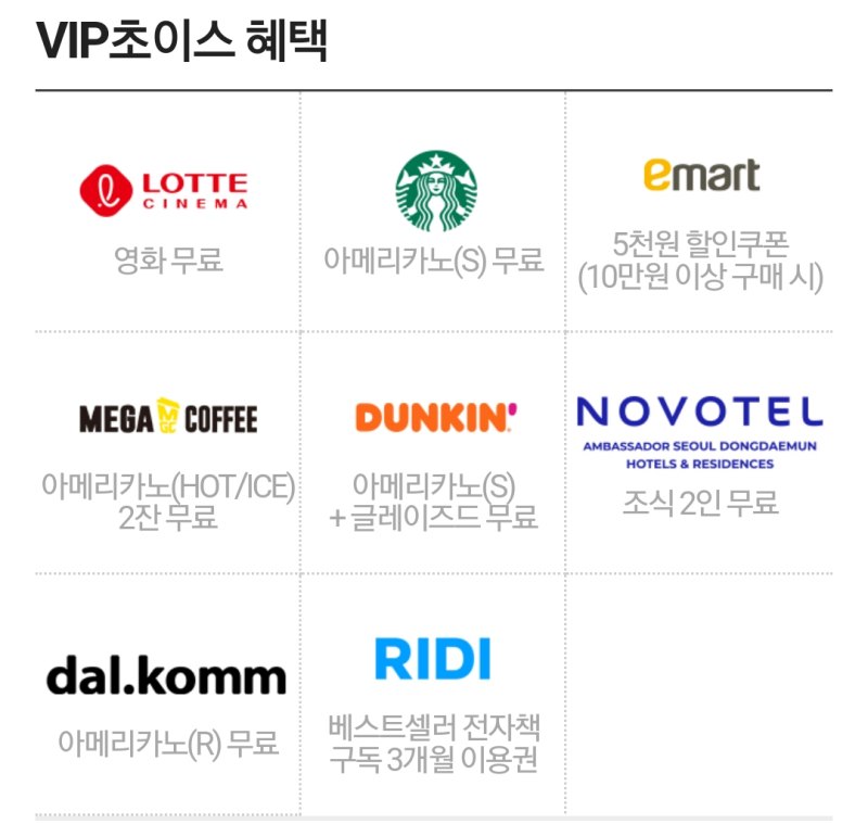 VIP초이스