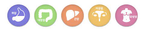 5대 앞으로 위암&#44; 대장암&#44; 간암&#44; 자궁암&#44; 유방암이 있다.