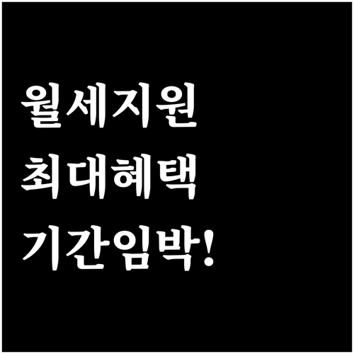 김해시 청년월세지원 자격과 신청 기간..