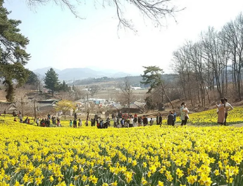 생생정보 고수의 부엌 곤지암 화담숲 근처 묵은지 등갈비찜과 석쇠불고기 맛집 곤지암 웅골