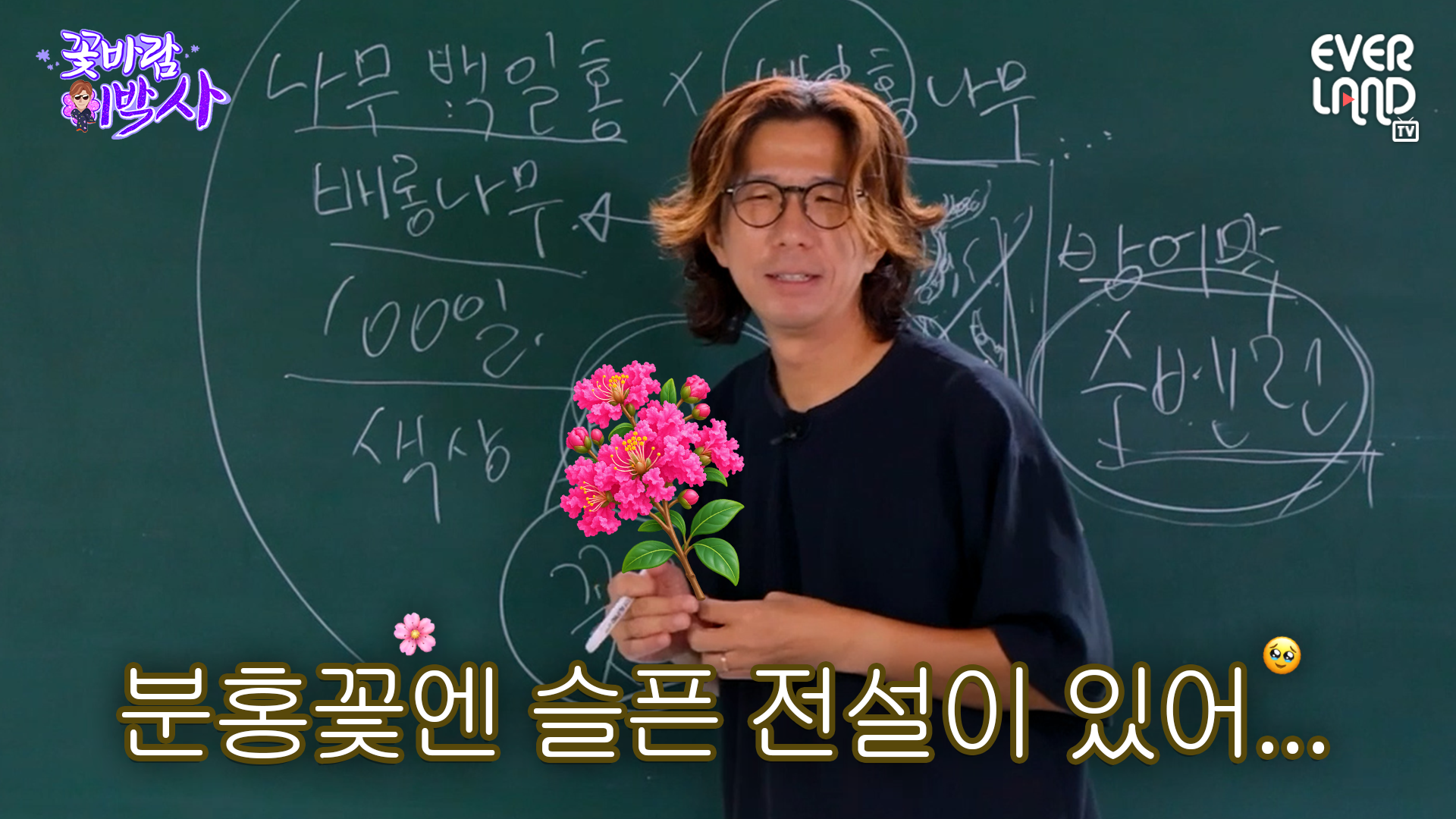나무가 뭐 이렇게 예쁘고 슬퍼｜#일타강사식쌤 #꽃바람이박사