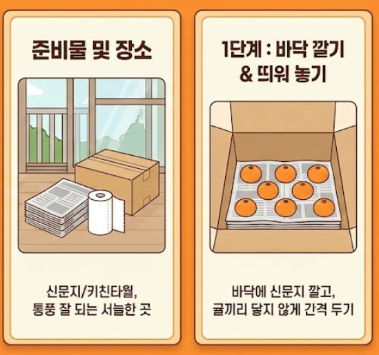 귤보관법