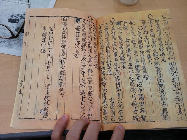 고서 관련 사진