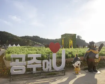 백제문화제 (공주, 부여)_9