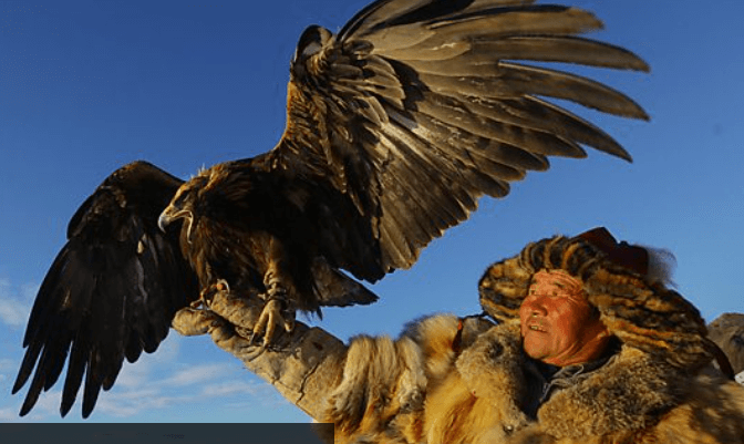 아시아 다큐 살펴보기 이미지