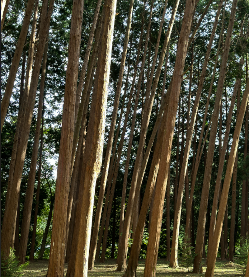 양산 법기수원지