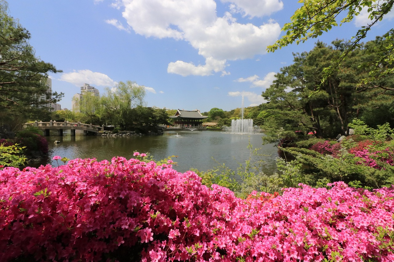 2026년 성남 부동산 정보 관련 사진