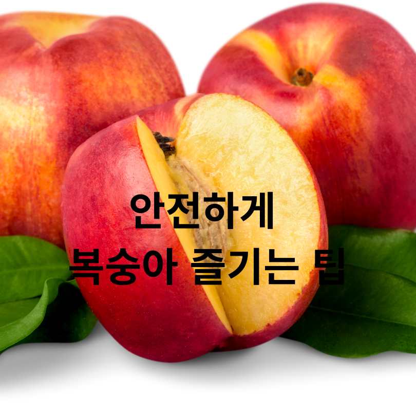 복숭아 알레르기 원인, 증상, 대처법