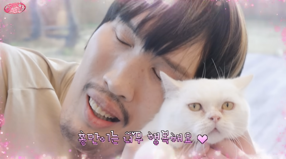 최홍만-고양이-집사-십자수-뜨개질-취미