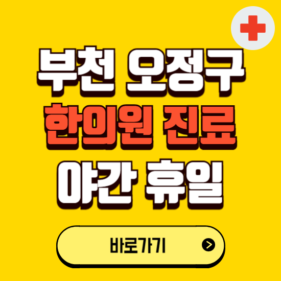 부천시 오정구 야간 휴일 한의원 한방병원 찾기 ❘ 24시 일요일 주말 연휴 응급진료 추천 잘하는 곳