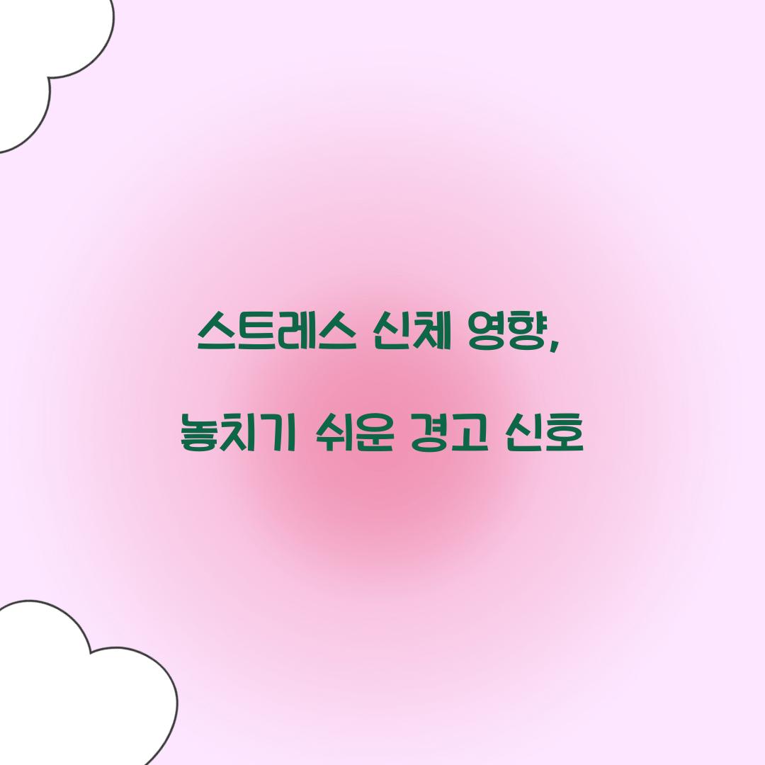 스트레스 신체 영향