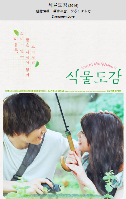 영화 Evergreen Love
