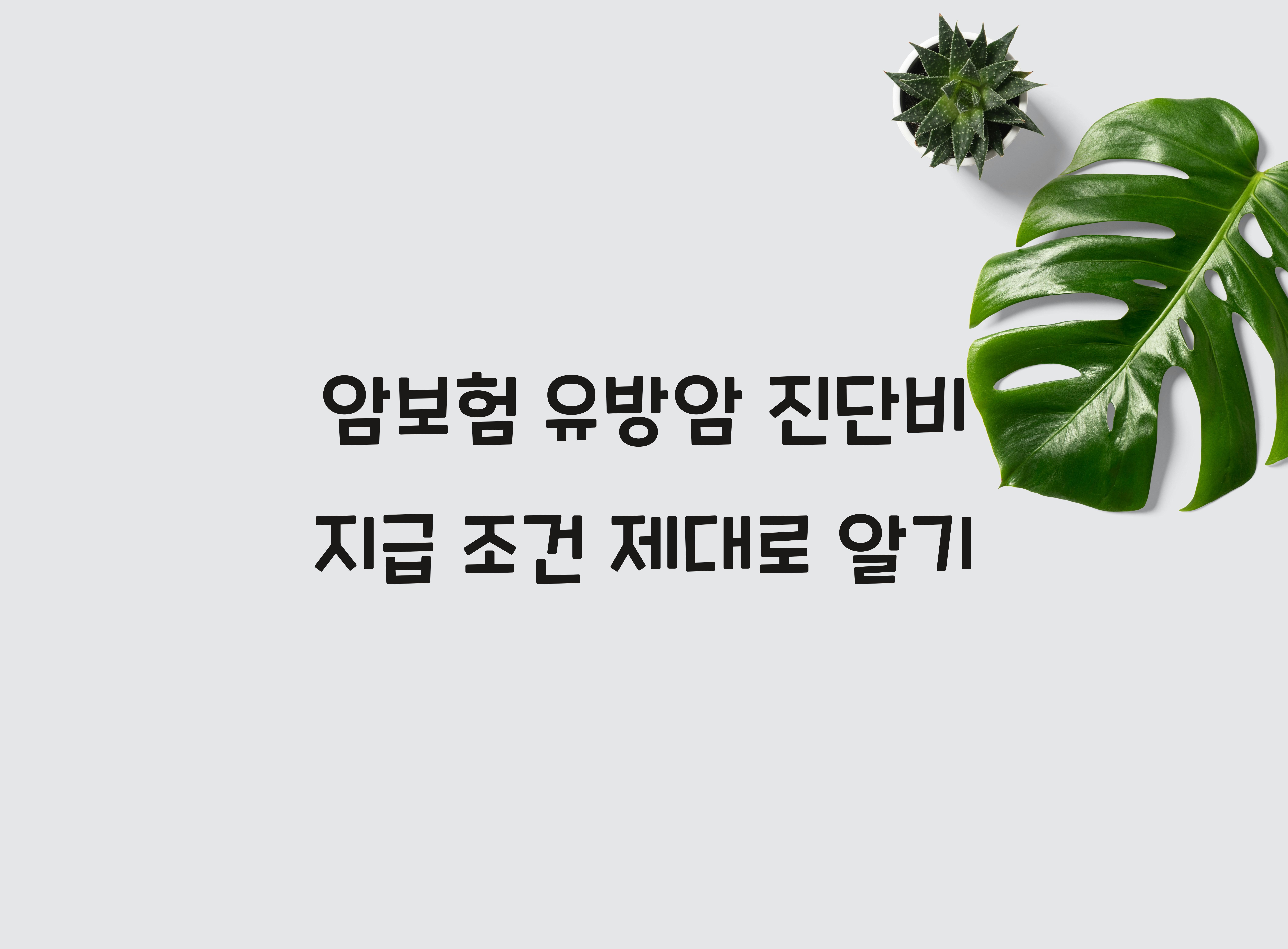 암보험 유방암 진단비 지급 조건
