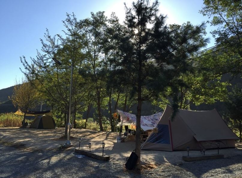 춘천 황금박쥐캠핑장 소개