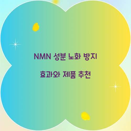 NMN 성분 노화 방지