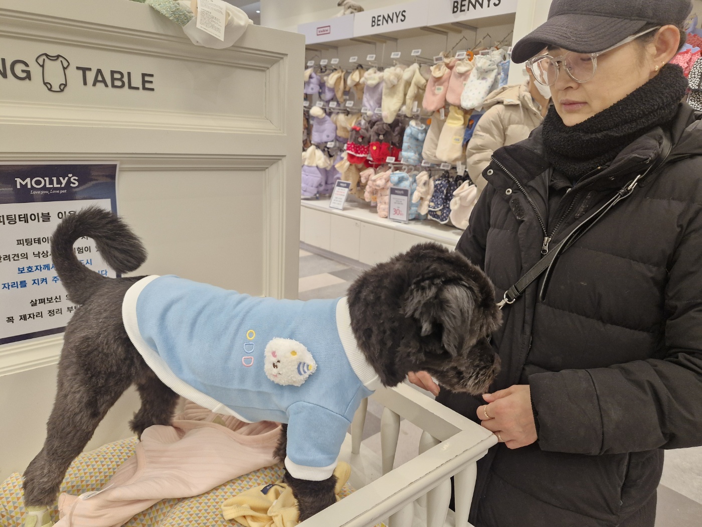 강아지 겨울철 위험 포인트