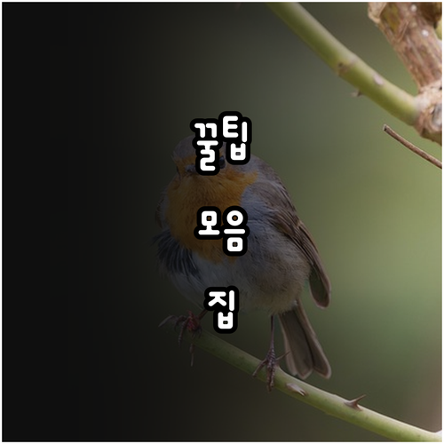 2025 경기도 노인종합상담센터 무료..