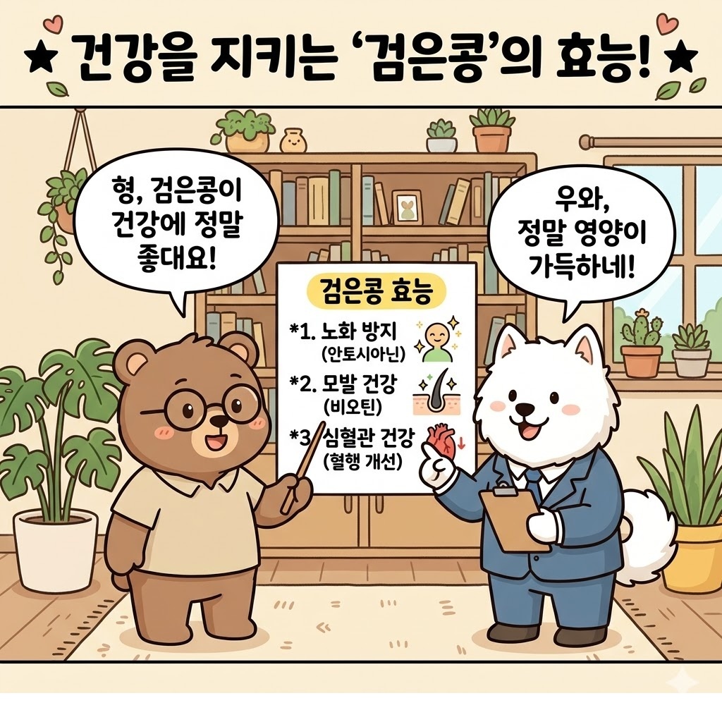 검은콩 효능 건강을 위해 챙기기 전 꼭 알아야 할 핵심 정보