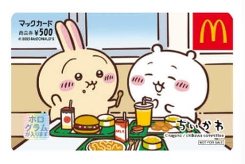 열광적인 지지를 받고 있는 치이카와