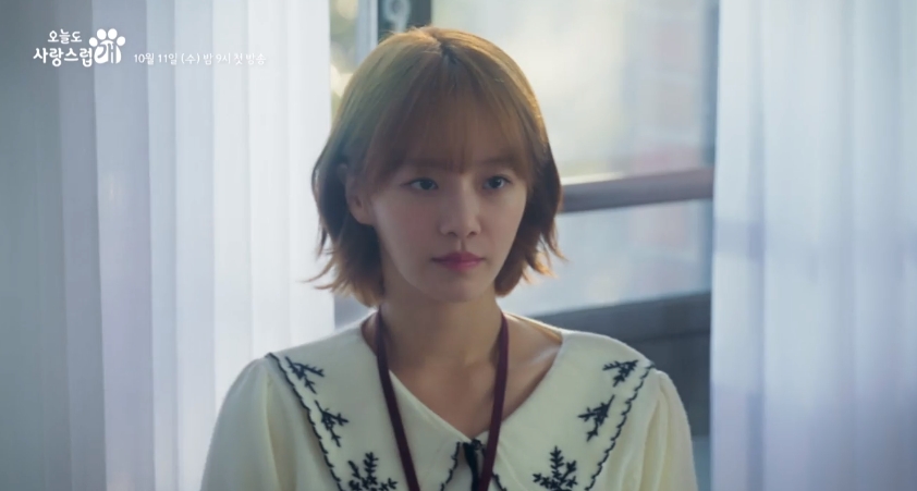 오늘도 사랑스럽개 정리