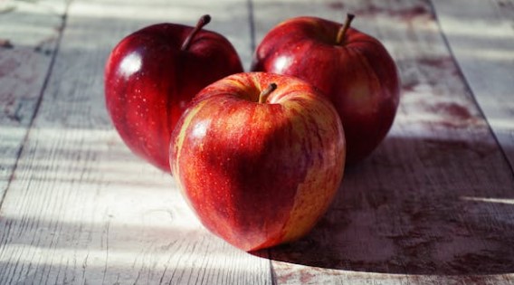 사과 효능