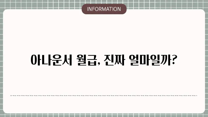 아나운서 연봉 월급 자세하게 정리했어요!