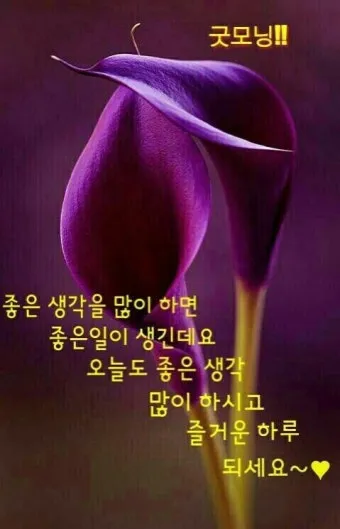 아침 인사말 이미지 모음 밝고 따뜻한 하루 인사 문구 정리_28