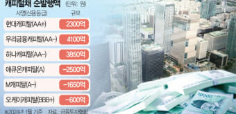 캐피탈채 순발행액