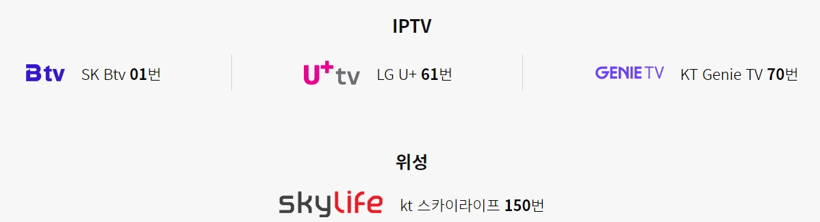 주요 TV 서비스별 채널S 채널 번호 목록