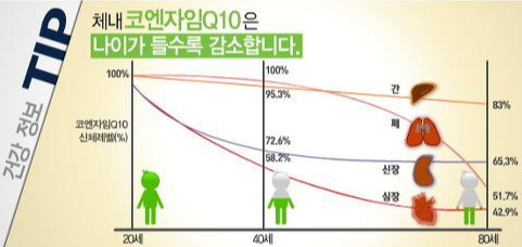 코엔자임큐텐 5가지 효능과 부작용&amp;#44; 하루 권장량
