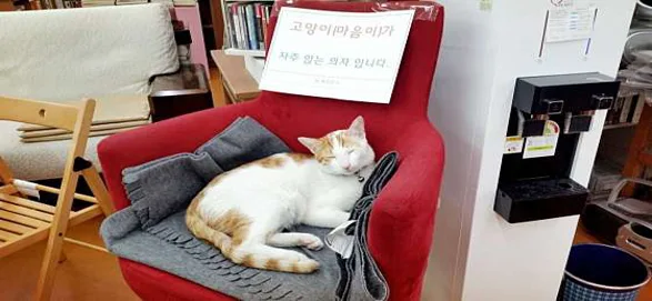 대동문고