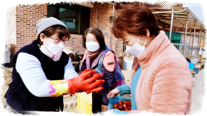 한국인의 밥상 박대묵 감태묵 도토리묵 청포묵 밤묵 묵묵히 맛있다 묵 방송