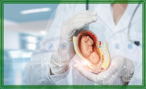 임신 초기 빈혈 예방 및 치료법