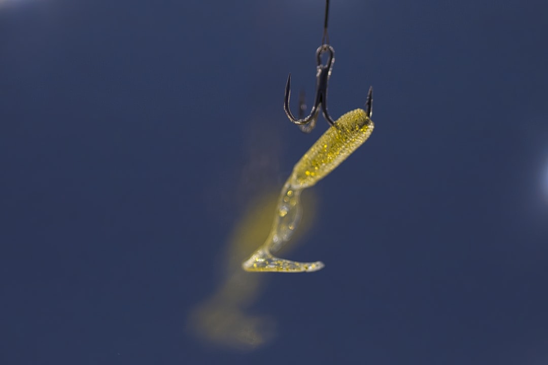Phishing