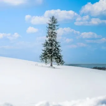 삿포로 날씨 여행 삿포로 지도 꿀팁 정리_13