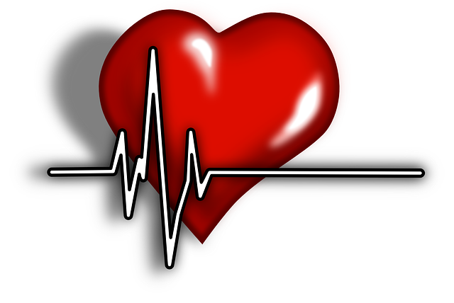 심장 건강에 좋은 생활 습관과 영양제