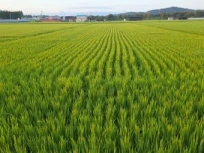 경남 농어민수당 신청방법