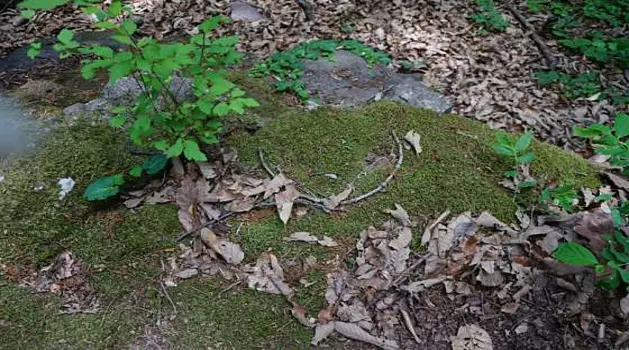 두타산