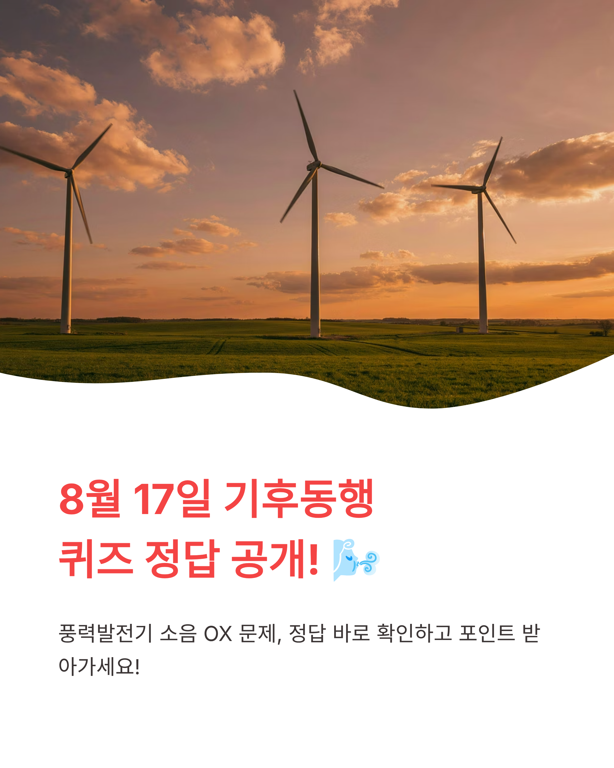 8월 17일 기후동행퀴즈정답 완벽정리!!풍력발전기 소음 OX바로 확인하세요