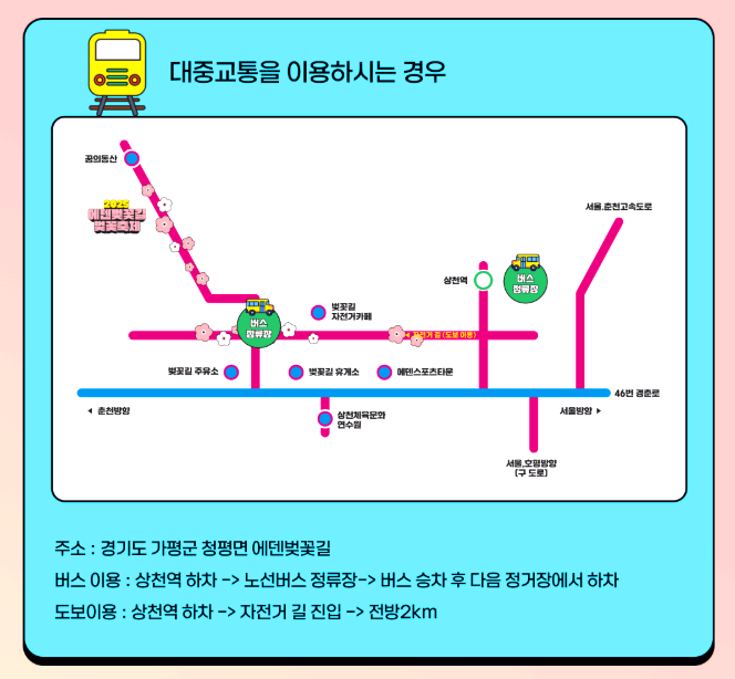 에덴벚꽃길 벚꽃축제