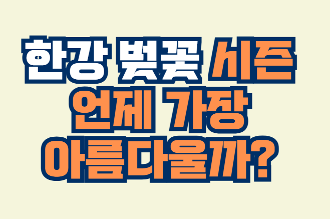 한강_벚꽃_시즌